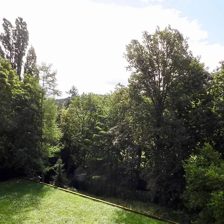 Moderne Nahe Swr Und Golfplatz Apartment Baden-Baden